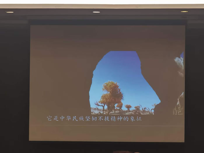 綿陽中旅行假日旅行社舉行胡楊林、南疆專列推薦會